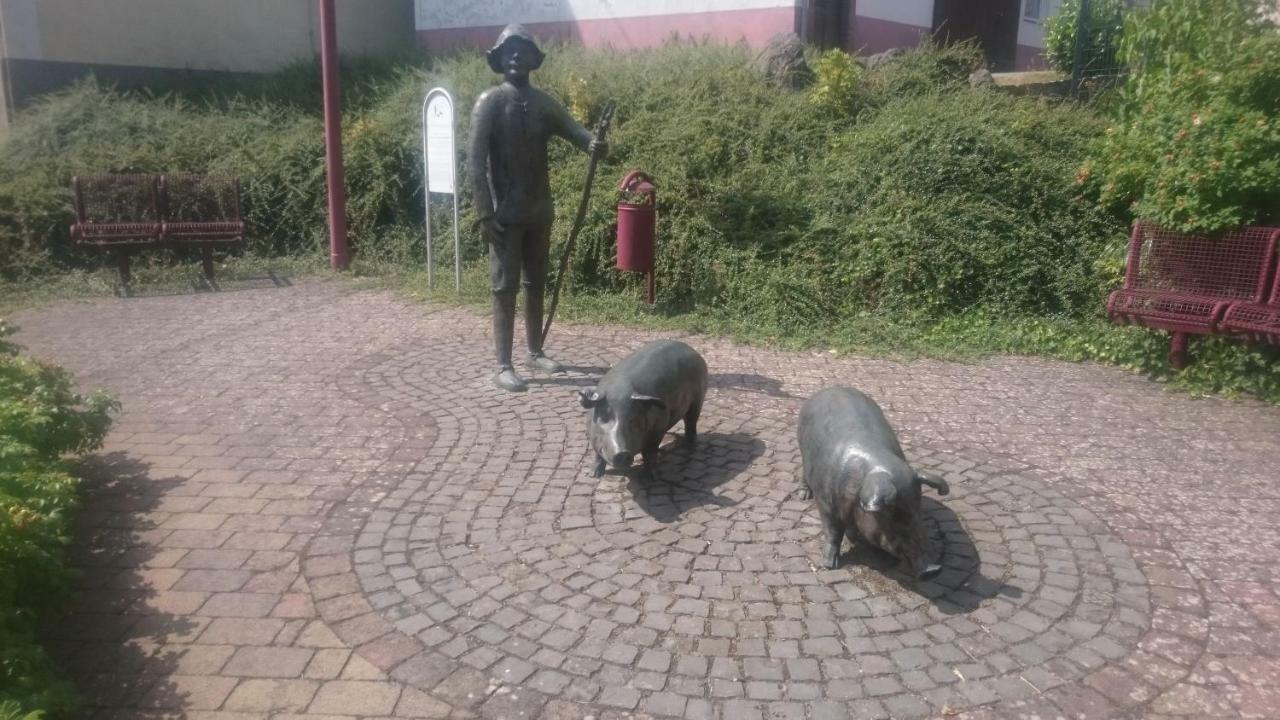 Eifelyeti Ferienwohnung Ellscheid Zewnętrze zdjęcie